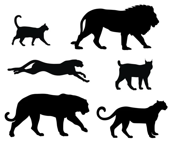 Katt siluetter — Stock vektor