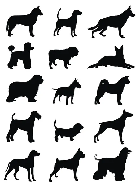 Различные собаки — стоковый вектор