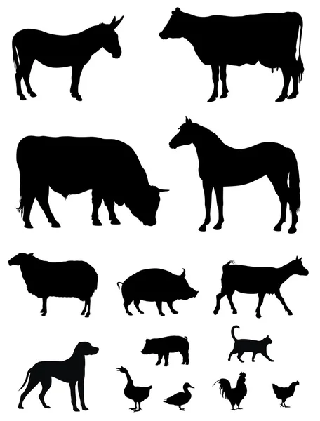 Landbouwhuisdieren — Stockvector