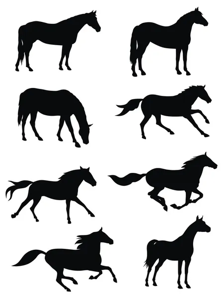 Vektor Illustration Verschiedener Pferde Silhouetten — Stockvektor