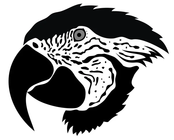 Ilustração Vetorial Abstrata Papagaio —  Vetores de Stock