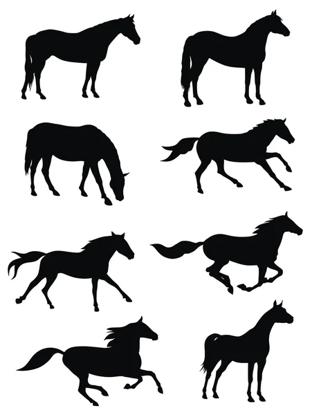 Vectorillustratie Van Verschillende Paarden Silhouetten — Stockvector