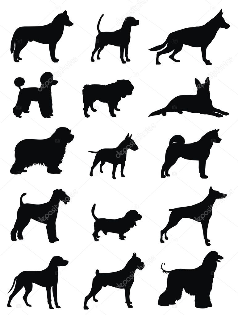 Various dog