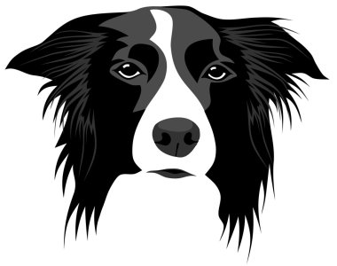 Border collie clipart