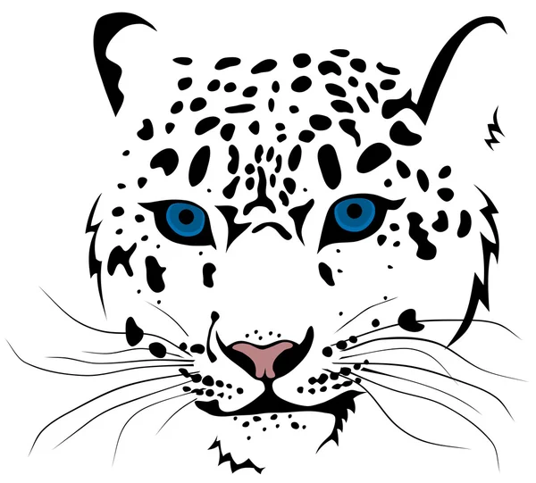 Léopard des neiges — Image vectorielle
