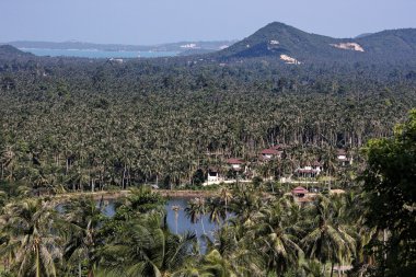 Kho samui Adası, Tayland