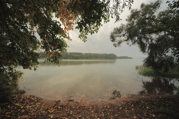 Осень Московской Области Осенью — стоковое фото