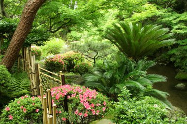 bir Japon bahçesi