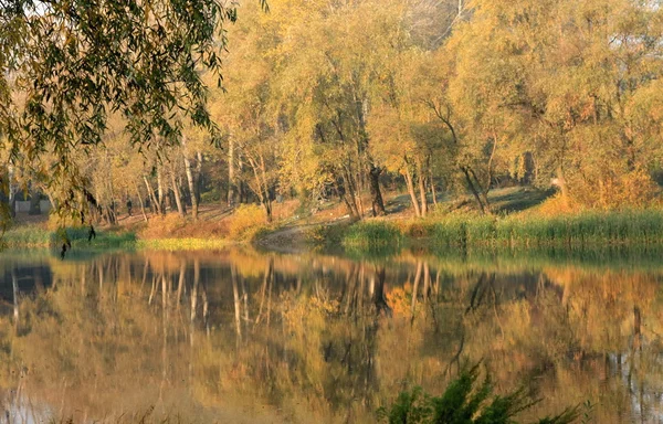 Stock image Autumn in Moscow area, Russia