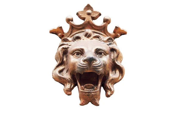Un león Imagen de archivo
