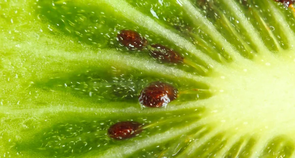 stock image Kiwi Fruit