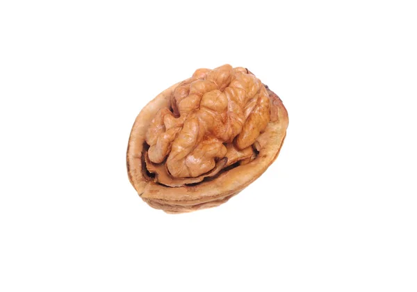 Wallnut — Stock Photo, Image