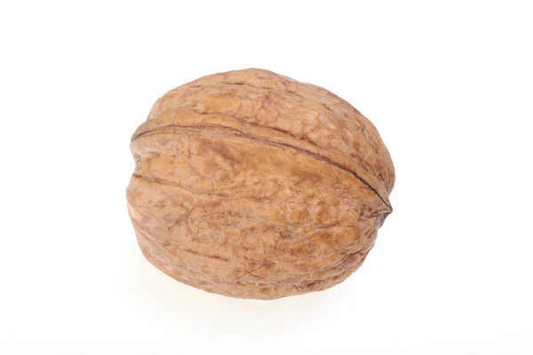 Wallnut — Φωτογραφία Αρχείου
