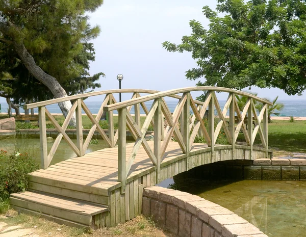 Dřevěný most Royalty Free Stock Fotografie