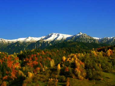 Sonbahar manzarası