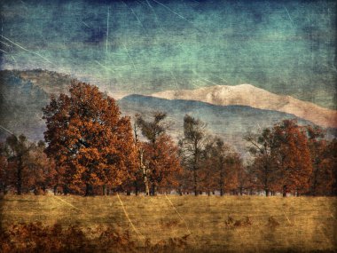 Autumn aged landscape photography clipart