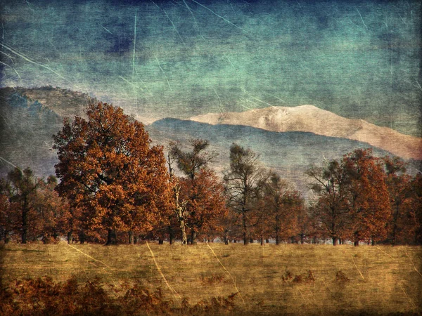 Outono envelhecido paisagem fotografia — Fotografia de Stock