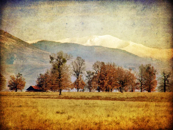 Alte Landschaftsfotografie — Stockfoto