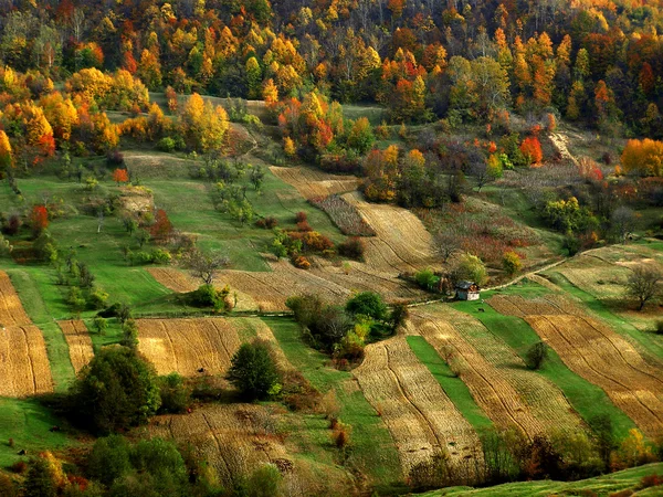 Rustykalne jesień — Zdjęcie stockowe