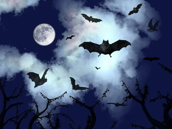 Fledermäuse fliegen am dunklen Himmel — Stockfoto