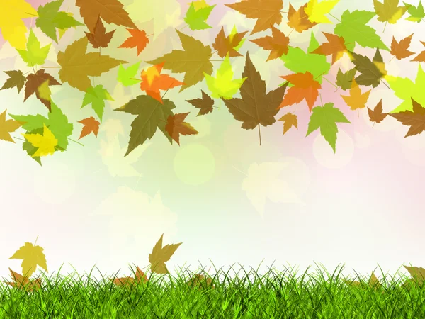Podzimní listí spadající — Stock fotografie
