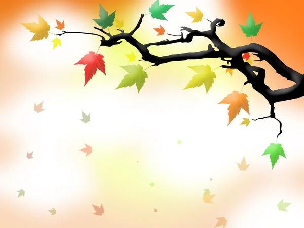 Autumn leaves on the branch — Stock Photo, Image