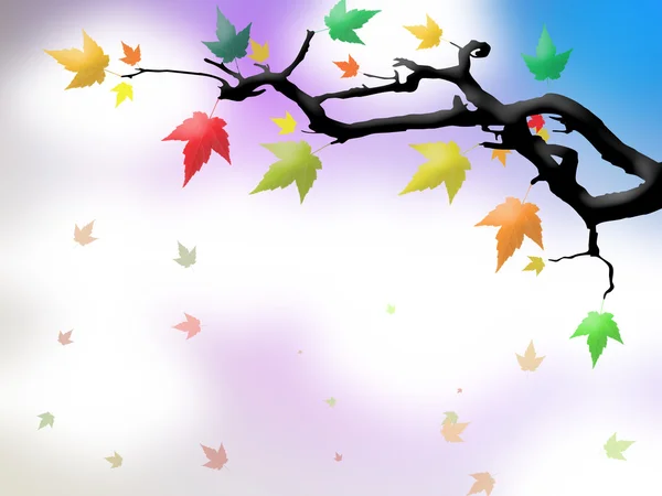 Herfst bladeren op de tak — Stockfoto