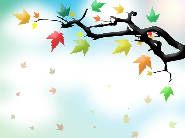 Hojas de otoño en la rama — Foto de Stock