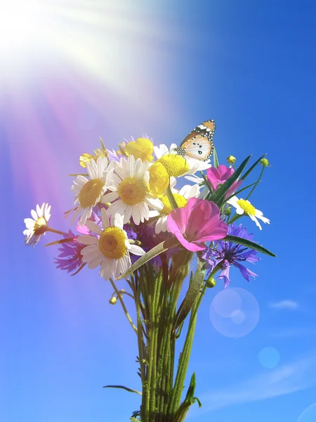 Kır çiçekleri buketi — Stok fotoğraf