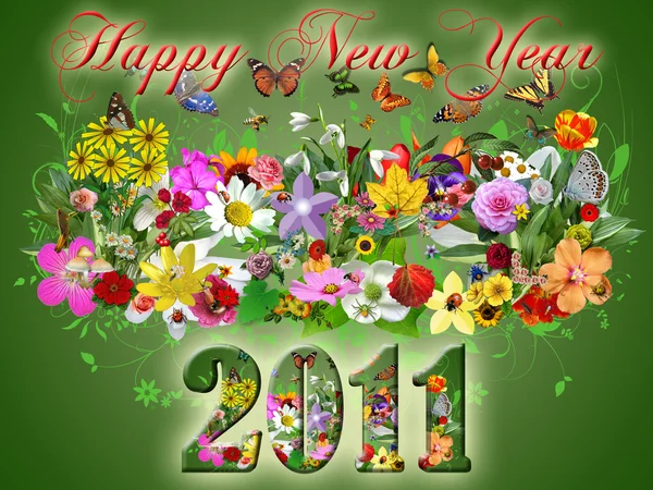 2011 glückliches neues Jahr Illustration — Stockfoto