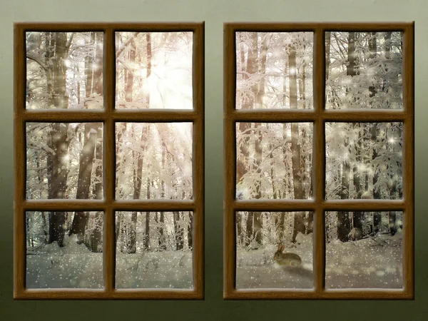 Vinterutsikt genom ett rustikt fönster — Stockfoto