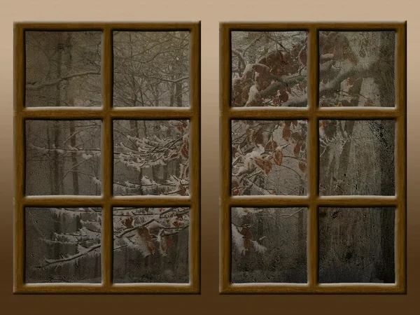 A winter view through a wood rustic window — Stock Photo, Image