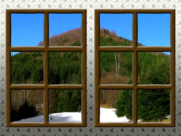 透过木窗的冬景 — 图库照片