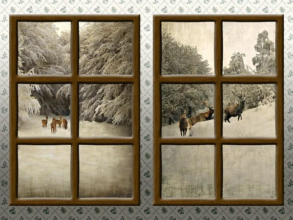 Una vista invernale attraverso una finestra rustica in legno — Foto Stock