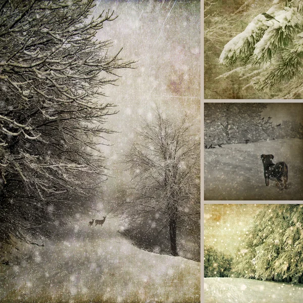 Konkretne Zdjęcie kolażu zimy — Zdjęcie stockowe