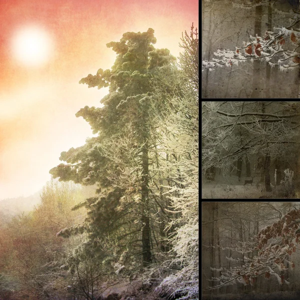 Collage fotografico specifico dell'inverno — Foto Stock