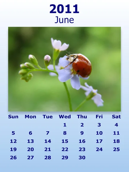 Junho mês 2011 calendário — Fotografia de Stock