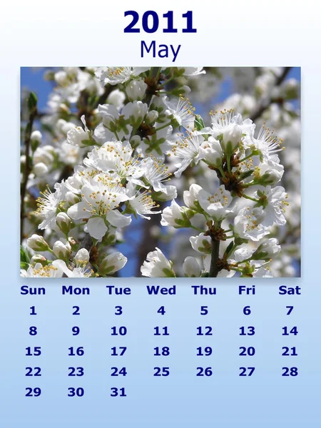 May month 2011 calendar