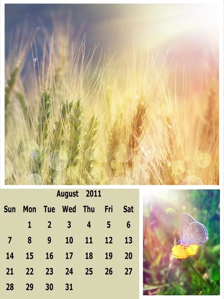Kalendář na měsíc srpen 2011 — Stock fotografie