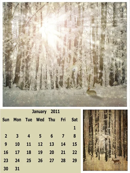 Январь 2011 календарь — стоковое фото