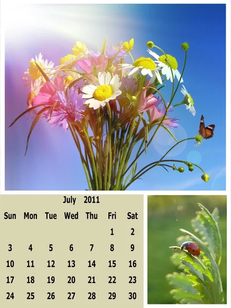 7 月 2011年カレンダー — ストック写真