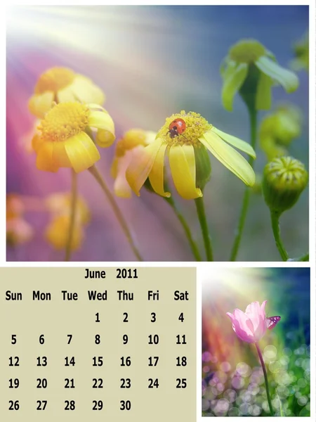 Junio mes 2011 calendario — Foto de Stock