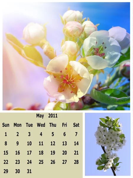 stock image May month 2011 calendar