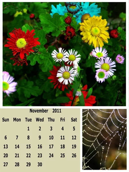 11 月 2011年月カレンダー — ストック写真