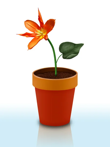 Keramisk Flower Pot Isolerad Vit Bakgrund — Stockfoto