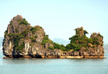 tropikal ada