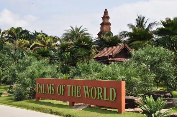 Stock image Palms of the world