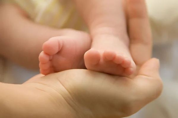 Stock image Legs of the kid