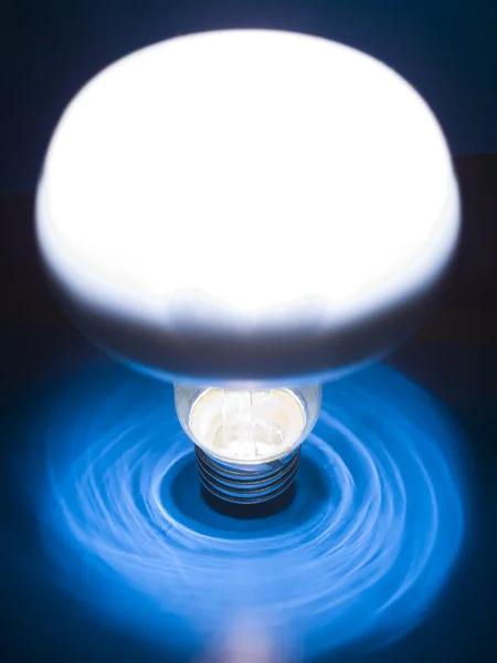 stock image Bulb