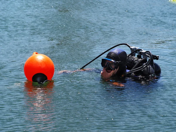 stock image Divers